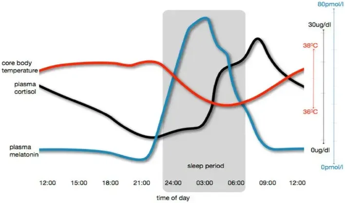 https://www.researchgate.net/publication/236073666_Manipulating_the_sleep-wake_cycle_and_circadian_rhythms_to_improve_clinical_management_of_major_depression