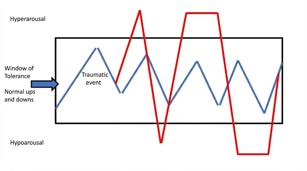 Adapted from Understanding and Working with the Window of Tolerance (2013) by Lori Gill.